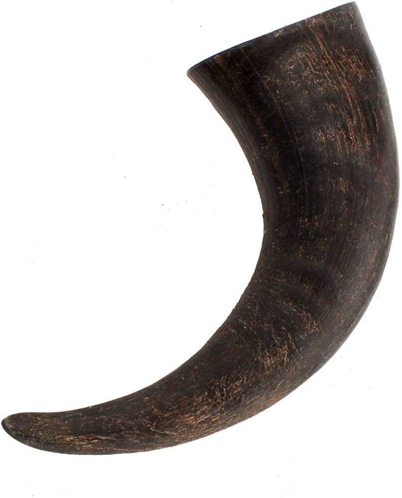 DOG CHEW HORN 1 Natural Buffalo Horn Dog Chew - Image 1