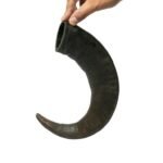 PREMIUM BUFFALO HORN DOG CHEW - Image 3