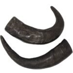 PREMIUM BUFFALO HORN DOG CHEW
