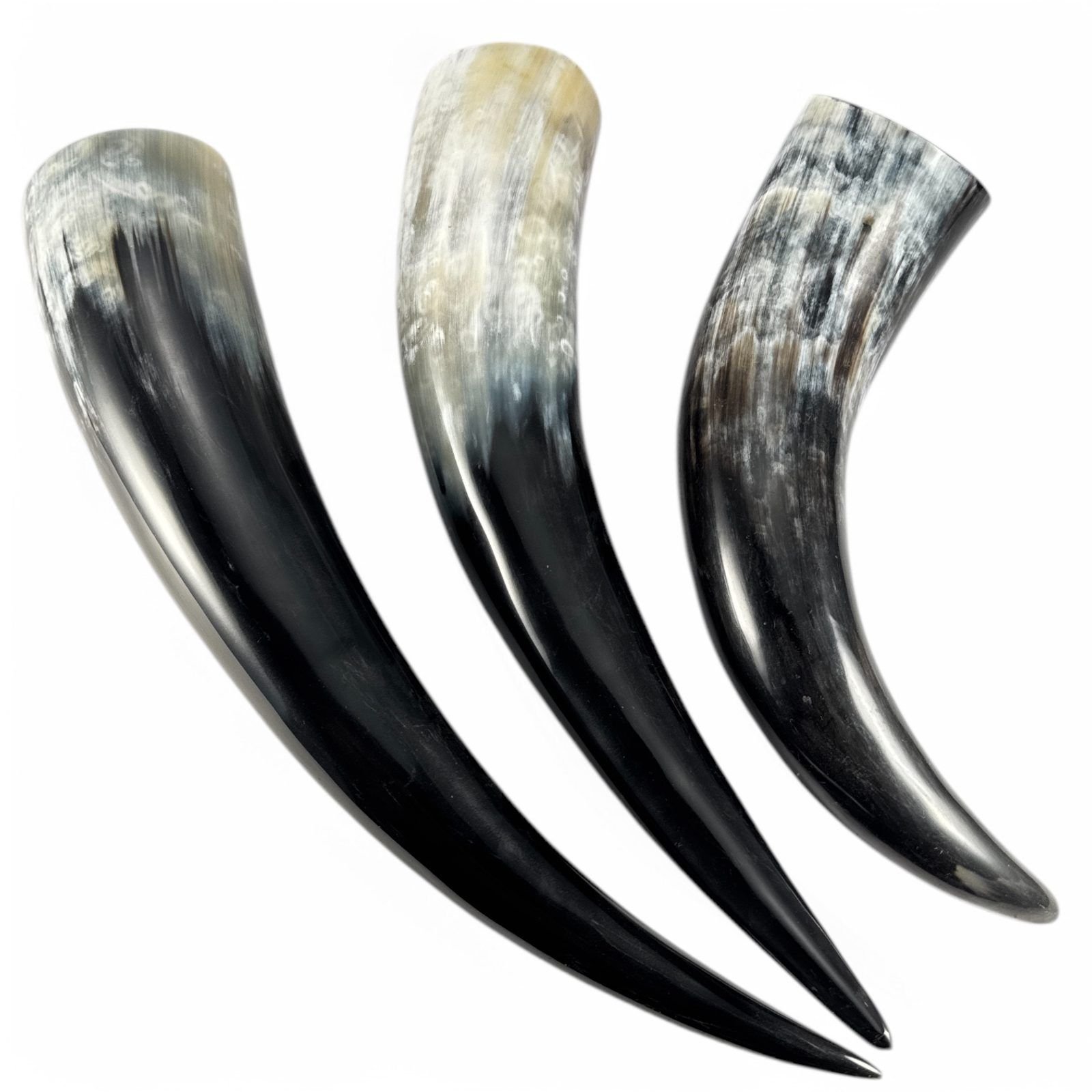 WhatsApp Image 2026-05-08 at 4.51.49 PM (1) Handmade Buffalo Horn Decorative Piece - Image 1